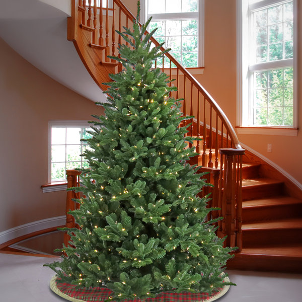 National Tree Company 9' Lighted Artificial Spruce Christmas Tree Wayfair